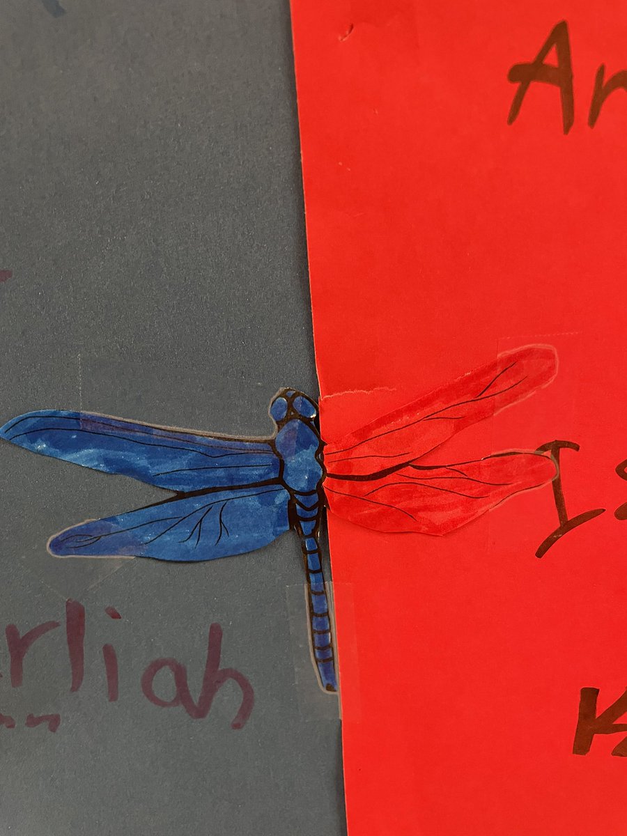 Stephanie Weller tweet media