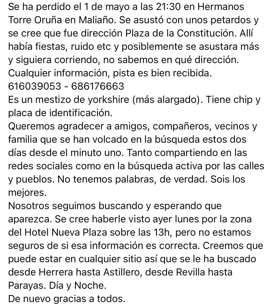 SOSNorteAnimal's tweet photo. #DESAPARECIDO en #Maliaño
Máxima difusión por favor, tiene chip y está castrado. Se ofrece recompensa @RevillaMiguelA @eldiarioes  @DiarioCantabria  @ifomoNoticias @112Cantabria @Policias_APDA @guardiacivil @policia   @CostaEsmeraldaR @RussellSimoni @estrimo @eltomavistas https://t.co/SnodTLva8X