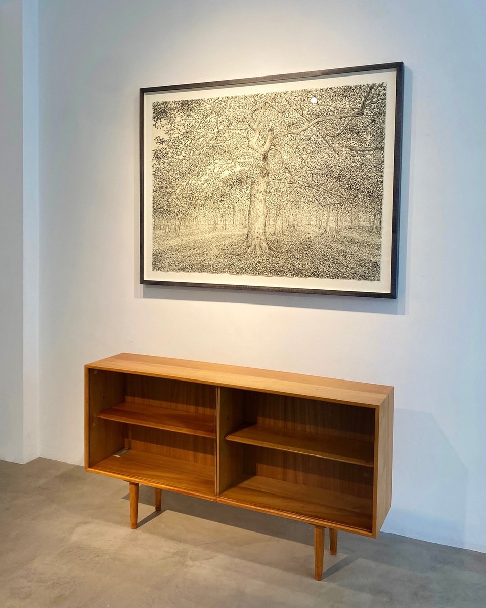 With his masterly handling of charcoal - myriad marks applied with surprising speed and consummate assurance - Roy Wright builds up images that combine extraordinary detail with a vivid naturalism. His trees appear almost to rustle in the wind. The restrained monochrome of these