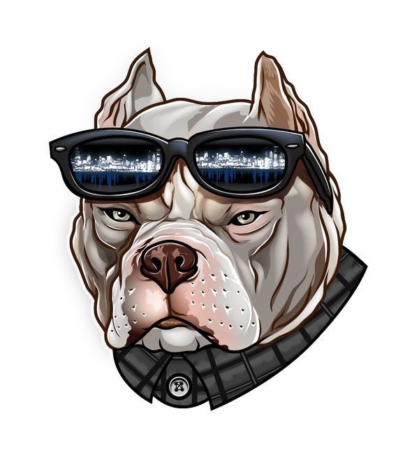 Şştt sessiz olun , bi topluluk duyuyorum sizde duydunuz mu ? 🙏Hedef 1000x KESİNLİKLE YTD. Ben size demiştim 🤭🥳📢❤️🌹 #pitbulltoken