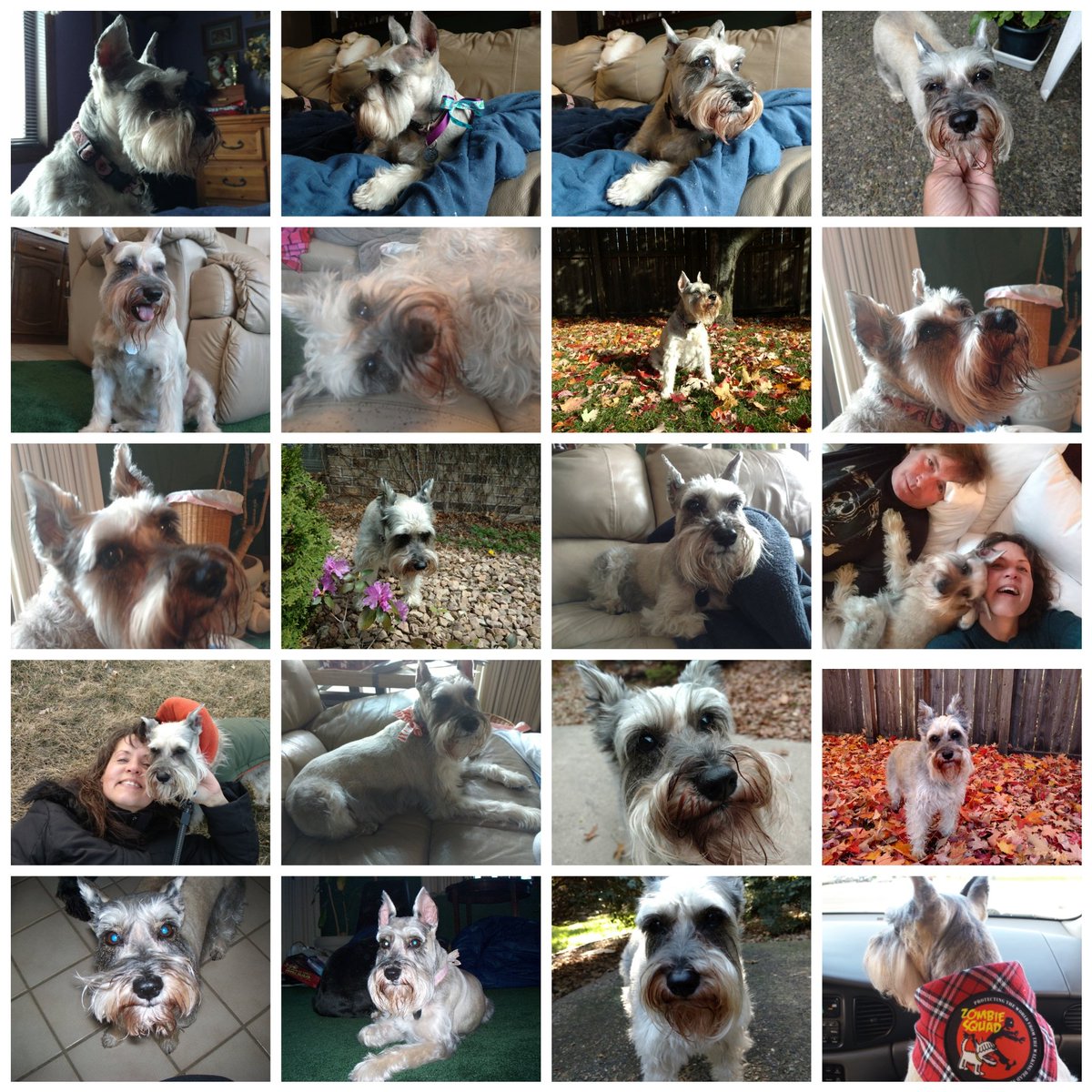 In loving memory of my beloved Abby ♥️ 2007 -2022
You will be missed forever 💔