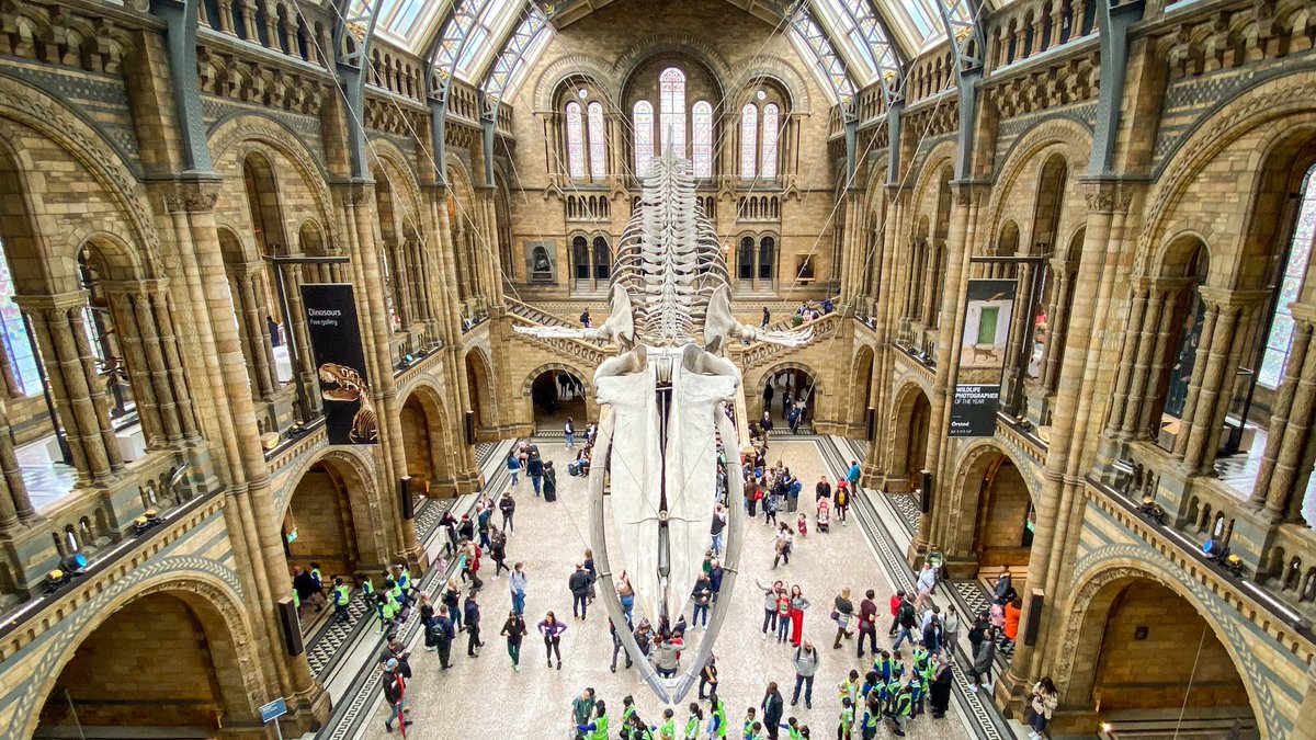 Dit is fantastisch. Natural History Museum London. In Londen? Gaan!
#naturalhistorymuseum #Londen #SouthKensington