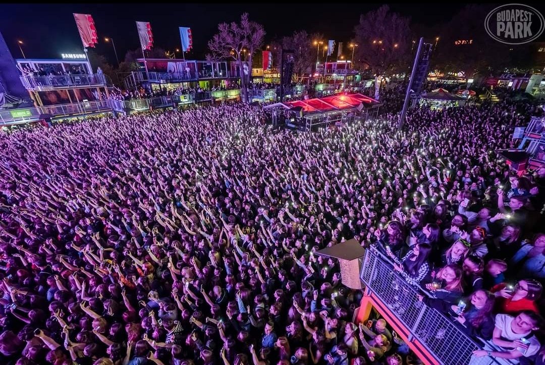 ʀᴏɴɪ is a star ☆ 13 tweet media