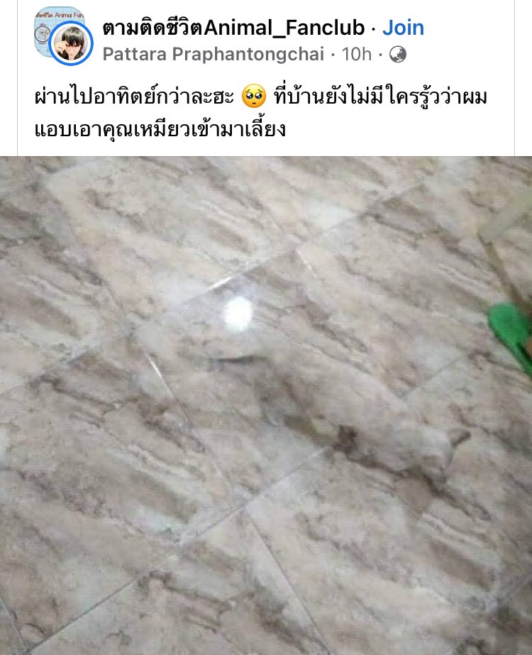 ไอเหี้ยที่สุดของการพรางตัว นาตาเหมียว โรมานอฟ ยิ่งกว่าโคนัน ตัวตึงวงการอะจริงๆ กุซูมหาตั้งนานอีเวน555555556555556555555566555555555