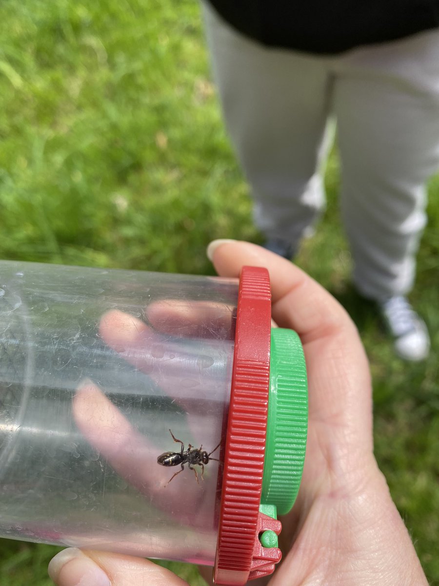 CB - Science tweet media