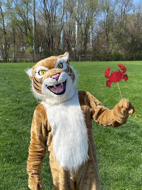d50wildcats's tweet photo. Mr. Wildcat says don't be crabby if you missed last night's Book Fair!  You can still order online at https://t.co/GKURMhQgRJ until May 15th! https://t.co/IKcnlBtsap