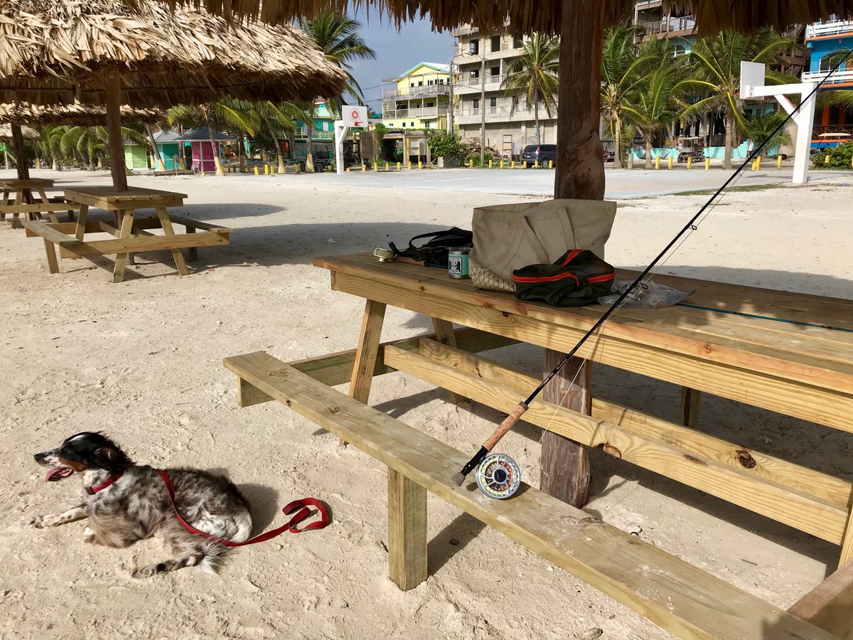 rwflyfish's tweet photo. Rigging up at Boca Del Rio. Mangrove Coast ready for action! Panga being a good girl. #reelbelize #reelwomenflyfishing #tfo #templeforkoutfitters #lifestyle #sanpedroflyfishing #amff #belize https://t.co/MvwL1k1xbb