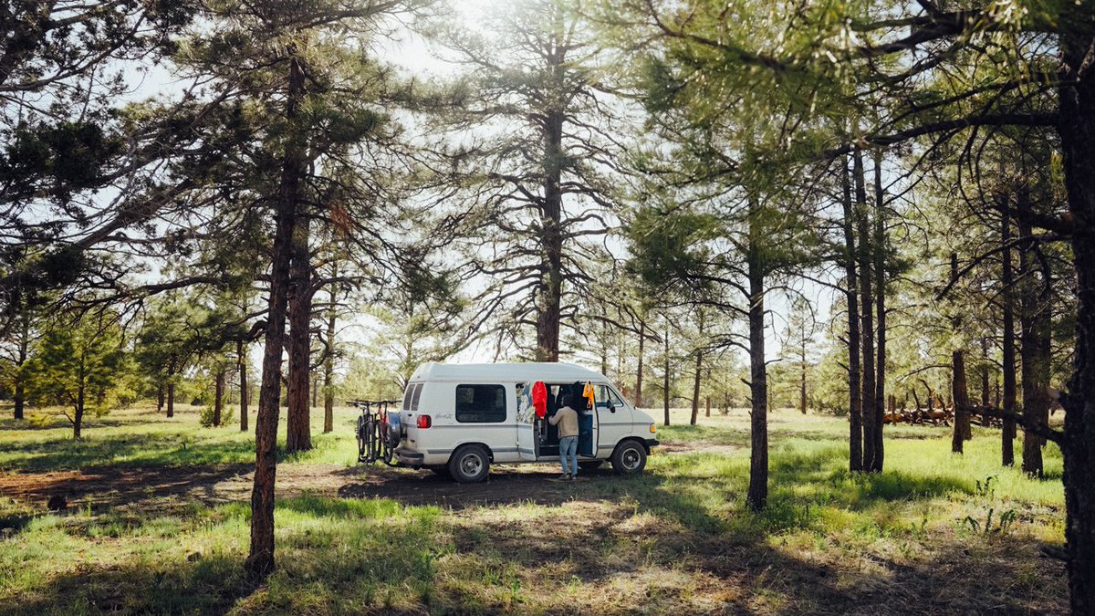 Cody Blue tweet media