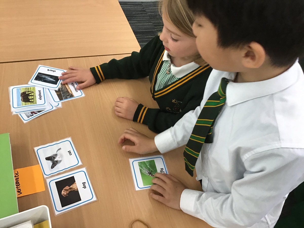 laceygreenpa's tweet image. This week Year 1 we have been comparing vertebrates and invertebrates #LGPAScience