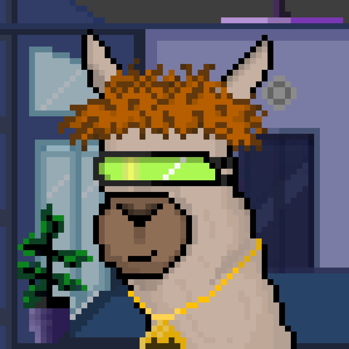 Mitchell tweet media