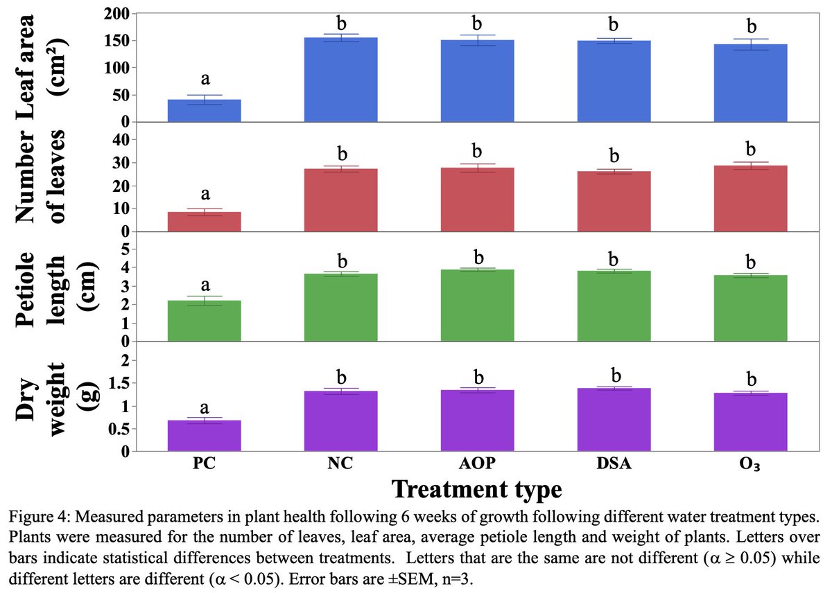 Electric surge⚡️ tweet media