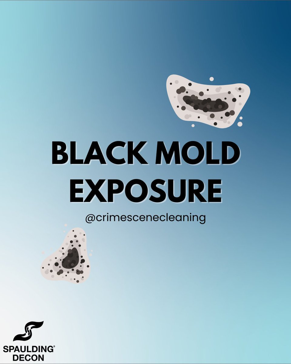 SpauldingDecon's tweet photo. Has your home been checked for black mold? If you've been experiencing any symptoms for a prolonged period and haven't ruled out other causes, black mold may be the issue! Give us a call at 866-99-DECON for a mold removal estimate today! 
​
#blackmold https://t.co/WCQi5calS7