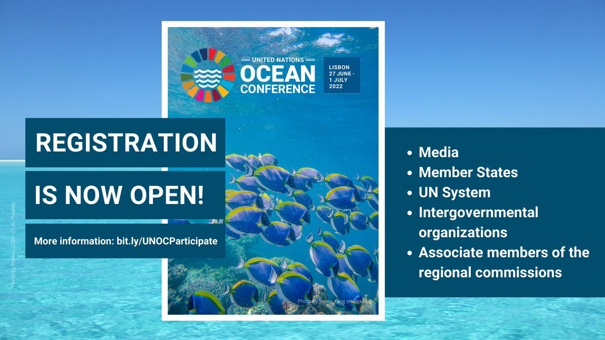 SustDev's tweet image. 🌊Media
🌊Member States
🌊UN System
🌊Intergovernmental organizations
🌊Associate members of the regional commissions

can now register for the 2022 UN Ocean Conference: bit.ly/UNOCParticipate

#SaveOurOcean