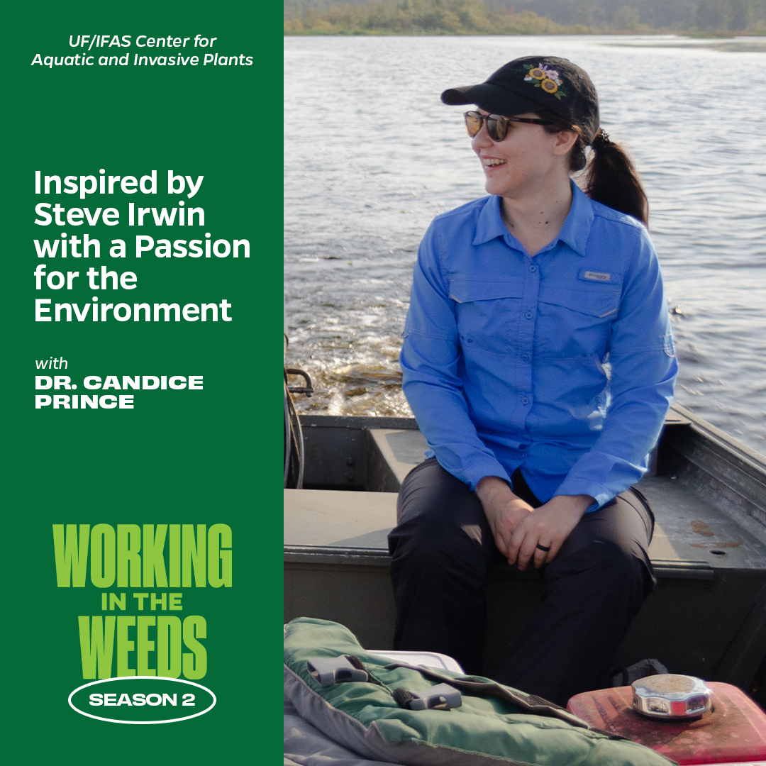 Our latest podcast episode is streaming now! This week, we are joined by Dr. Candice Prince. Dr. Prince is a triple #UFGrad and has a passion for environmental issues, natural resource conservation, and #InvasivePlants.

Listen now on our podcast webpage: anchor.fm/ufifascaip