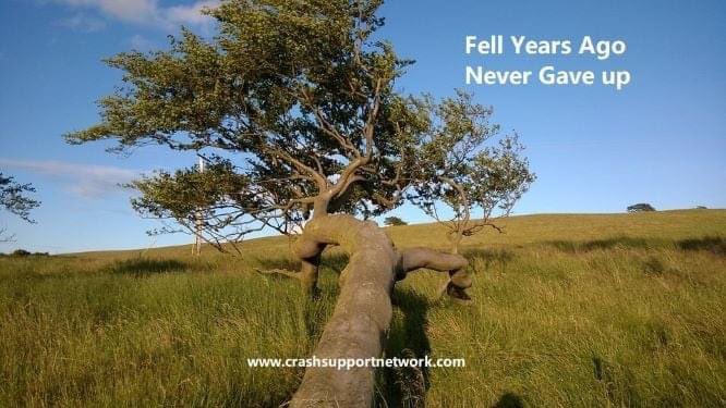 Crashsupportnet's tweet photo. Recovering from a motor vehicle crash is a full-time job & I never gave up. Expect the bad days while you embrace the good days & always remember that you are not alone. I am a crash survivor too.#crashsurvivor #recovery #traumasurvivor #trauma #motorvehiclecrash #talkcrashtome https://t.co/M3DWaVV1aG