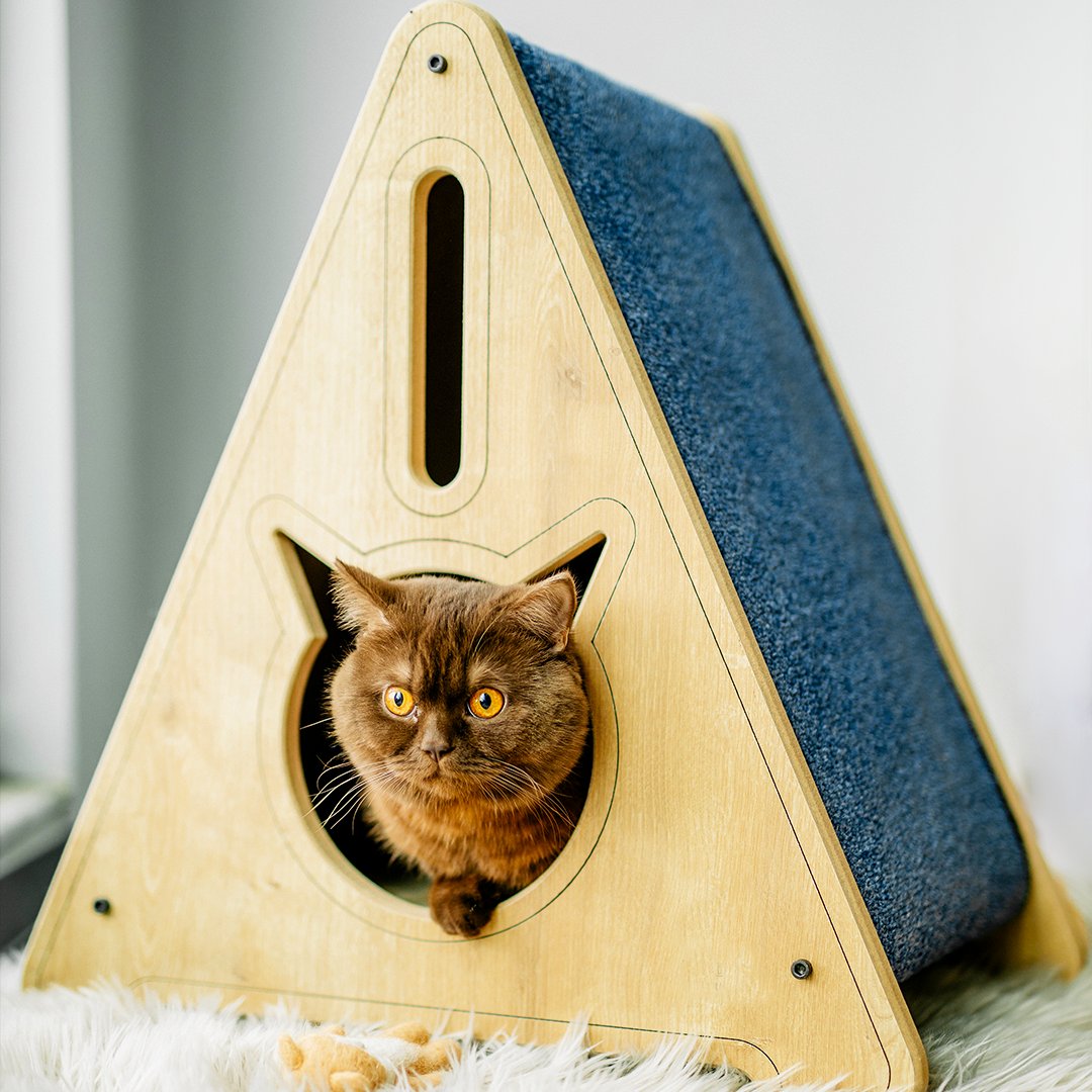 Furniture that is unique like a cinnamon colored cat ⭐
.
.
.
.
#catstyle #purrs #catcave #petguindesign #catinsta #felinelove #bluebritish #petguinpets #kittensofinsta #topmeowdels #mainecoonstyle #kittys #catfurniture #kittensleeping #catshow