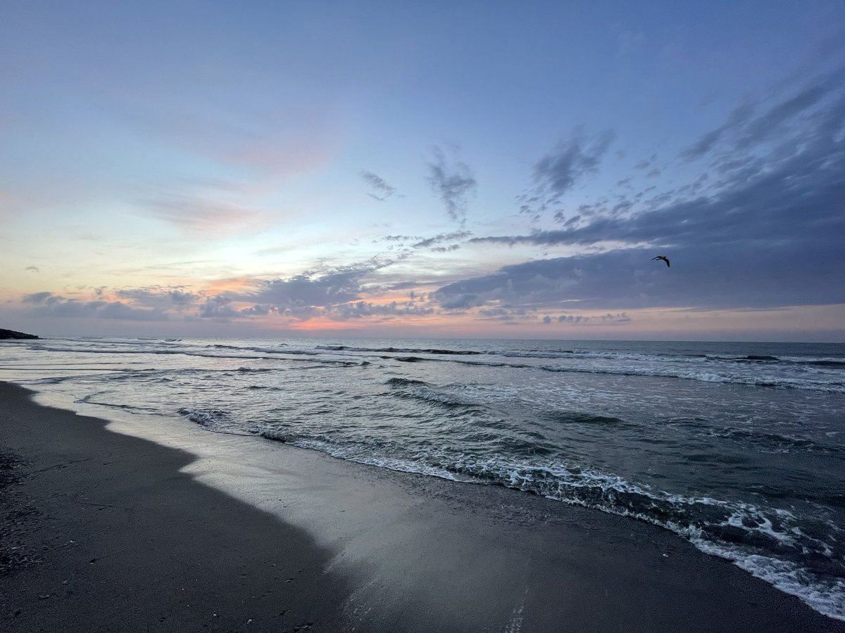 byelsachen's tweet photo. A much needed beach sunrise! #TwitterNatureCommunity https://t.co/JzYVlM8YPx