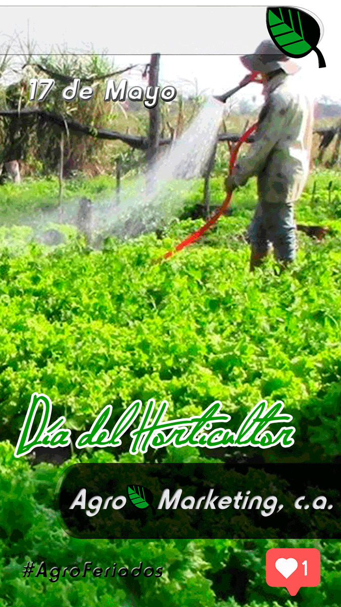 #horticultura es la ciencia, la tecnología y los negocios envueltos en la producción de hortalizas con destino al consumo. Es la técnica del cultivo de plantas que se desarrollan en huertos. El término proviene etimológicamente de las palabras latinas hortus y cultura.