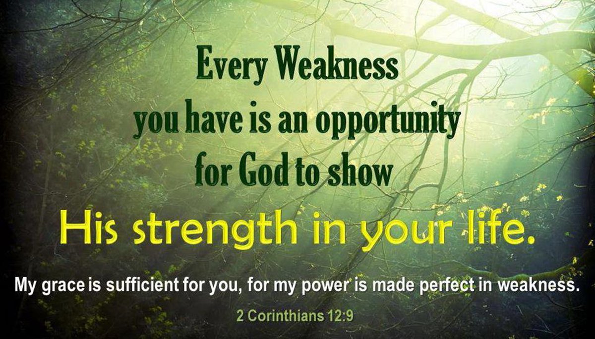 atRenewNH's tweet photo. His grace is sufficient! 
2 Cor 12:9 https://t.co/9aE3T6r2TC