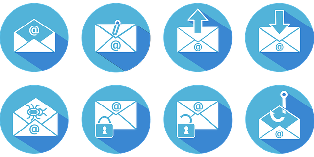 Sollutia tweet media