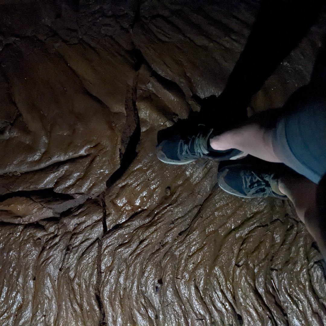 RenegadeRoaming's tweet photo. Day 3 (Part 7): We checked into our Airbnb, "The Monkey Pod" and stopped off on a roadside pull-off to climb down into the Kaumana Caves (Lava Tubes)!! Then we met up Dash's childhood friend's mom, Janet for dinner in Hilo. It was delicious &amp; she even brought us leis!!! https://t.co/WYwVdYGJAn