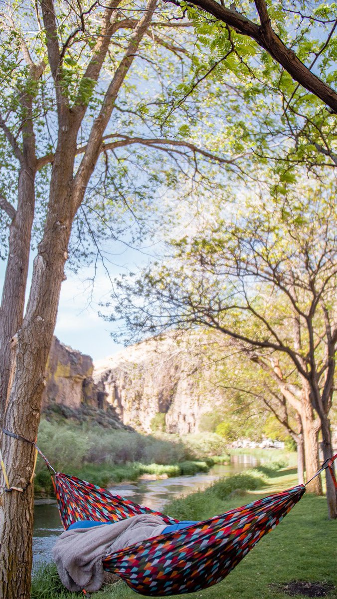 Waiting for the sunlight as a wake up call. These are the vibes we crave 😍

The Grandview Hammock is included in our Mother’s Day sale! Help your mom have an easier time relaxing with the help of a hammock. 

Link in the bio!🔗

📸  cal.vid 

#greettheoutdoors
#coalatree