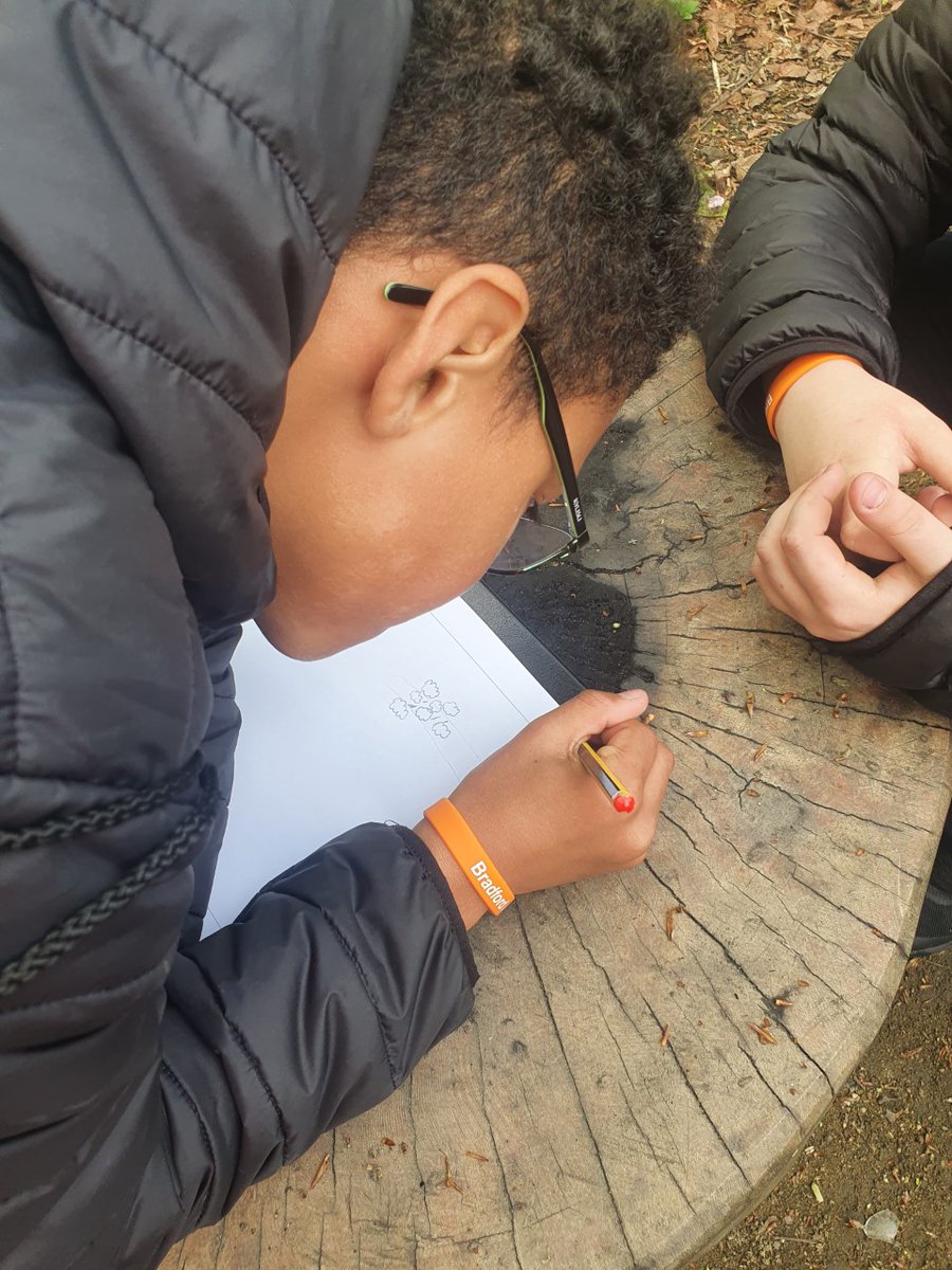 BA Primary tweet media