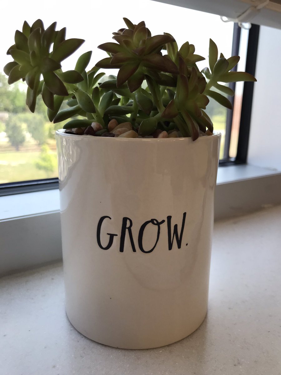 LMBteacher1's tweet photo. 💗 my new plant! Thank you to our awesome @AFMSPTSA for the Teacher Appreciation Week workshop to learn about succulents and create the perfect planter for my classroom windowsill! #grateful @AFMSChargers https://t.co/eA7mjeYdNF