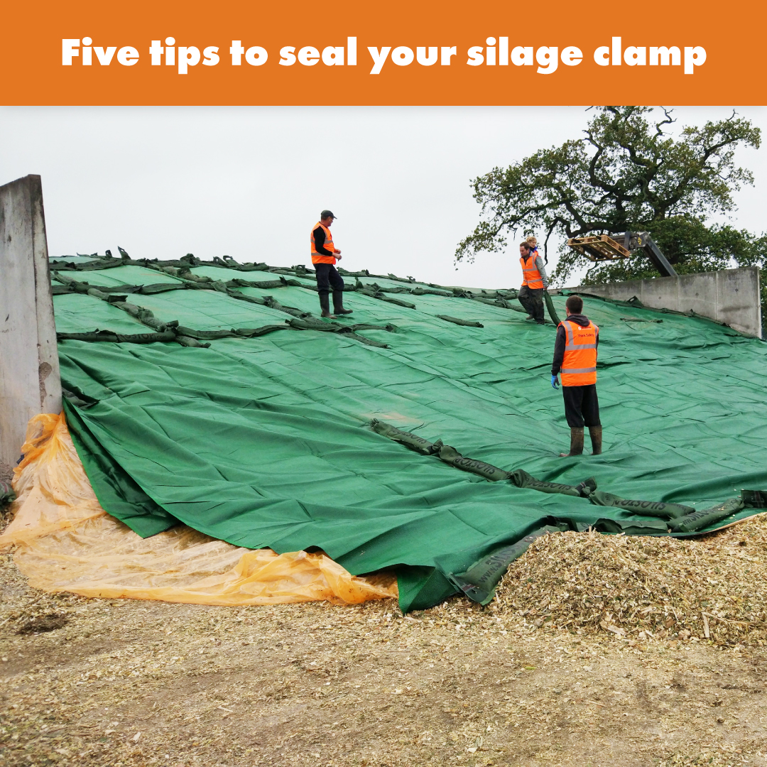 Silostop's tweet image. This 3 minute list will help you get much better silage in 12 months time! Top 5 tips to getting the most out of your clamp!
silostop.com/blogs/news/fiv…