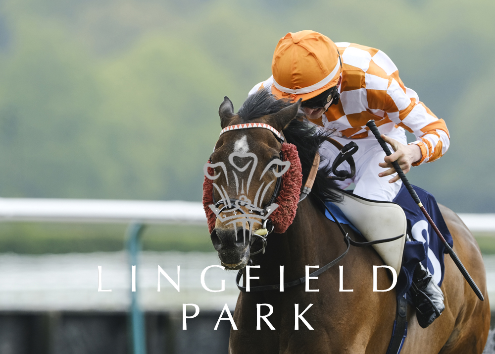 Lingfield Park on Twitter "Yesterday's Race Results 📸Professional