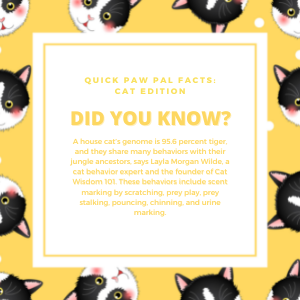 Naughty Paws Fun Trivia!
Follow + RT for more!
#NFTdrops #NFTartist #NFTCommunity #NFTProject #NFTartwork #NFTCollection #NFTs #NFTdrop #NFTGiveaway #nftart
