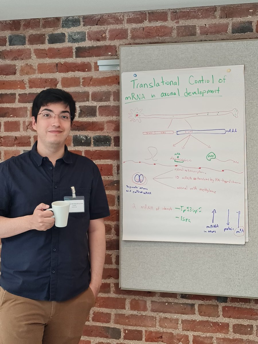 Riccio_Lab's tweet photo. Day two! https://t.co/BYmXCl9kKc