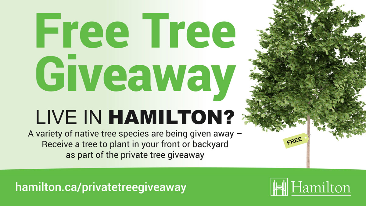 Help us reach our goal to plant 3000 trees this spring through our Private Tree Giveaway! The giveaway will take place on June 4, 7, 11 and 14 at Bayfront Park or the City’s Forestry Yard. Registration is required. Visit our website for more info: hamilton.ca/privatetreegiv….