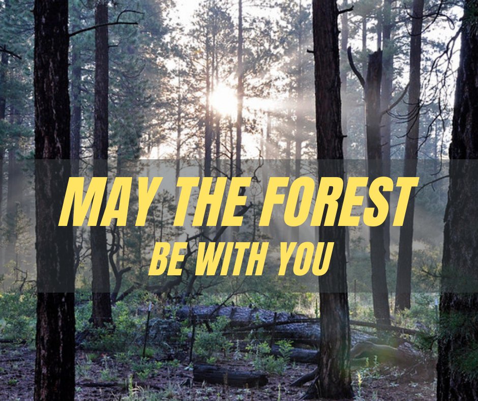 Coconino NF tweet media