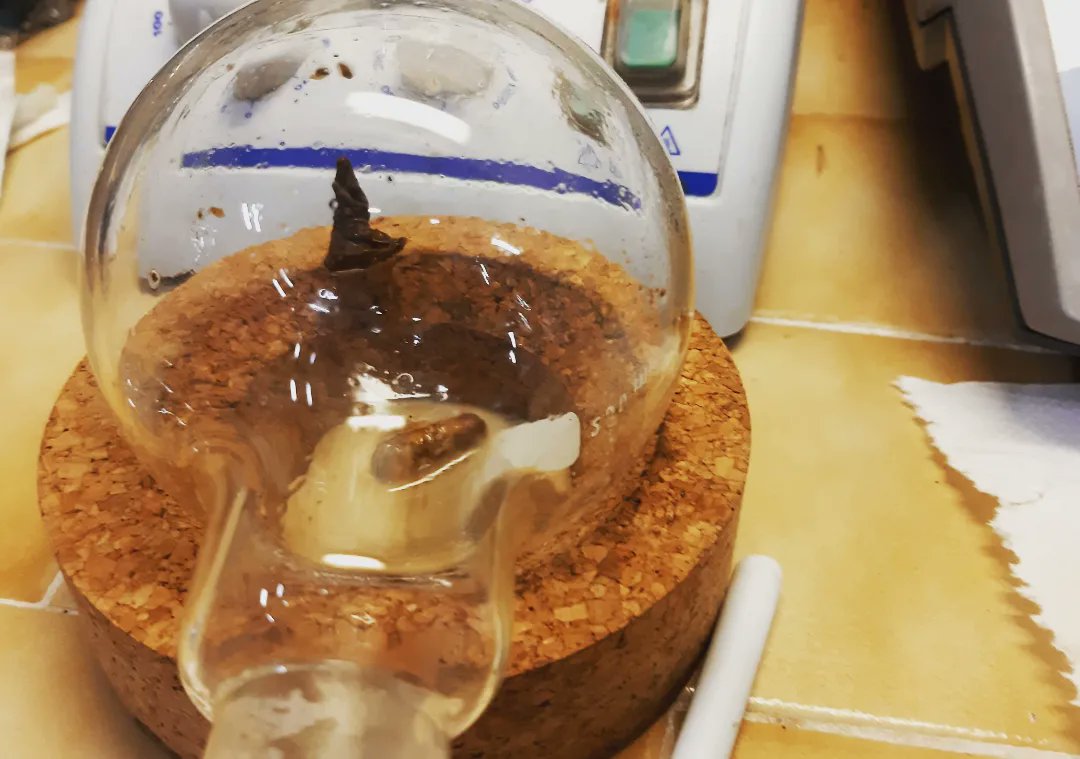 CarinaCrucho's tweet photo. I just found Hogwarts Sorting Hat ๐งโโ๏ธ on my reaction flask. โ Maybe he was deciding the fate of my reaction.๐ค From now on I will throw it at all my reactions. ๐ฉ๐ปโ๐ฌ #WomenInSTEM #womeninscience #hogwarts #sortinghat #harrypotter https://t.co/VFl6HVgPrn