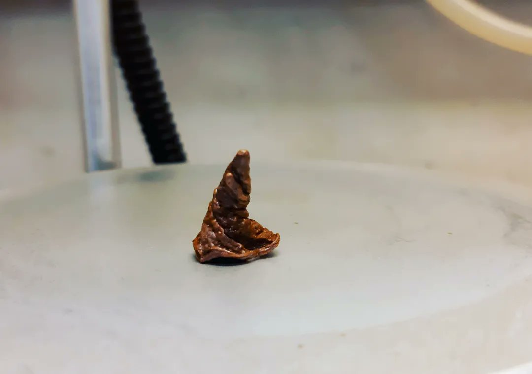 CarinaCrucho's tweet photo. I just found Hogwarts Sorting Hat ๐งโโ๏ธ on my reaction flask. โ Maybe he was deciding the fate of my reaction.๐ค From now on I will throw it at all my reactions. ๐ฉ๐ปโ๐ฌ #WomenInSTEM #womeninscience #hogwarts #sortinghat #harrypotter https://t.co/VFl6HVgPrn