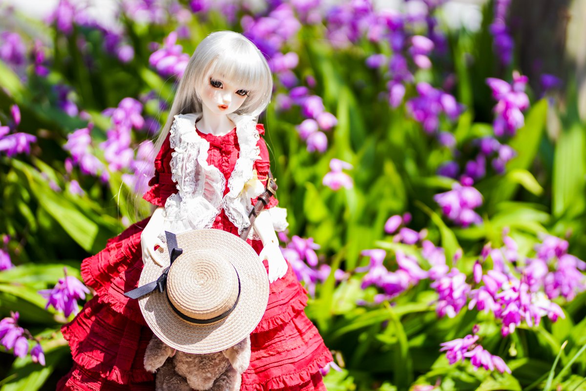 LoveSherylForEv's tweet photo. 晴れた日はお外でﾊﾟｼｬｯ!! ∑p[[◎]]ω･´)
この時期はお花も綺麗だし楽しいーー。

#sd_アリス
#a7riv #sp85mmf18 #f016 https://t.co/g2iskVM0b3