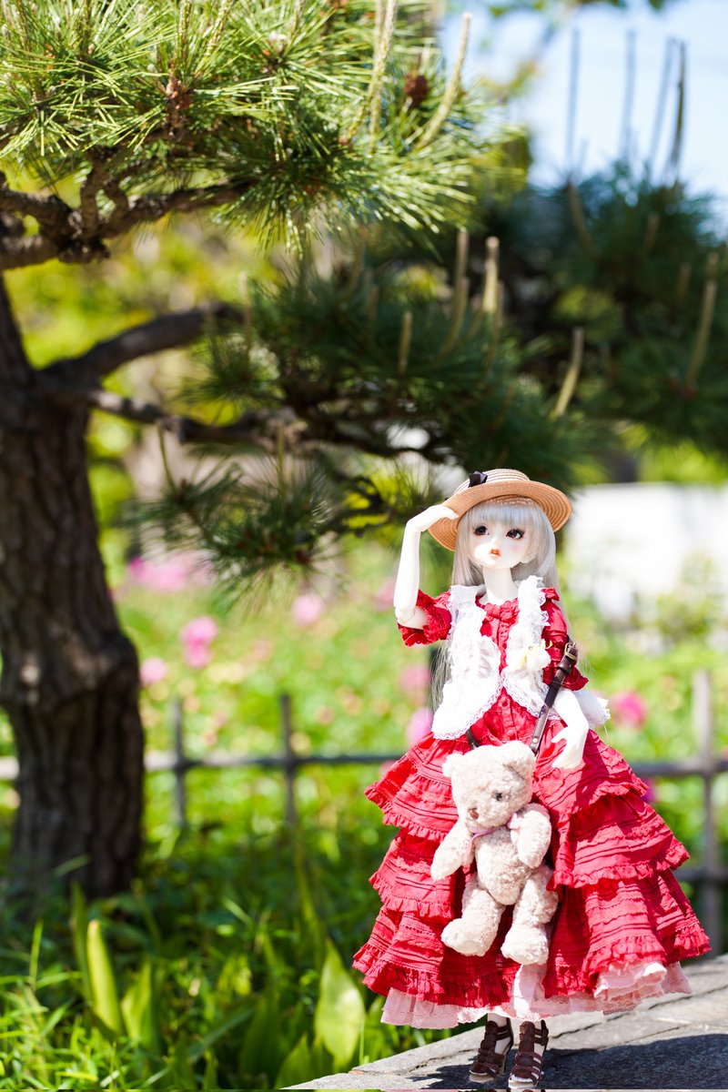 LoveSherylForEv's tweet photo. 晴れた日はお外でﾊﾟｼｬｯ!! ∑p[[◎]]ω･´)
この時期はお花も綺麗だし楽しいーー。

#sd_アリス
#a7riv #sp85mmf18 #f016 https://t.co/g2iskVM0b3