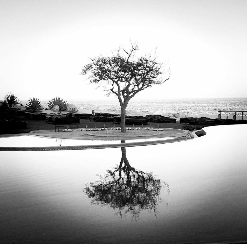 maclambert2's tweet photo. A dreamy composition of peace and serenity at @lasventanasalparaiso  #bwoftheday #serenity #shotoniphone #bwshotoniphone #bwshot #travel #instagram #photooftheday #picoftheday #photo #moment #instadaily #kelbyonepics #smugmug #twitter #reflection #cabo #… https://t.co/nlM48S2DfH https://t.co/Z5AmSqnMwM