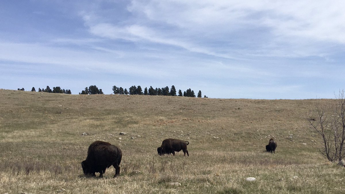 Kevin John tweet media