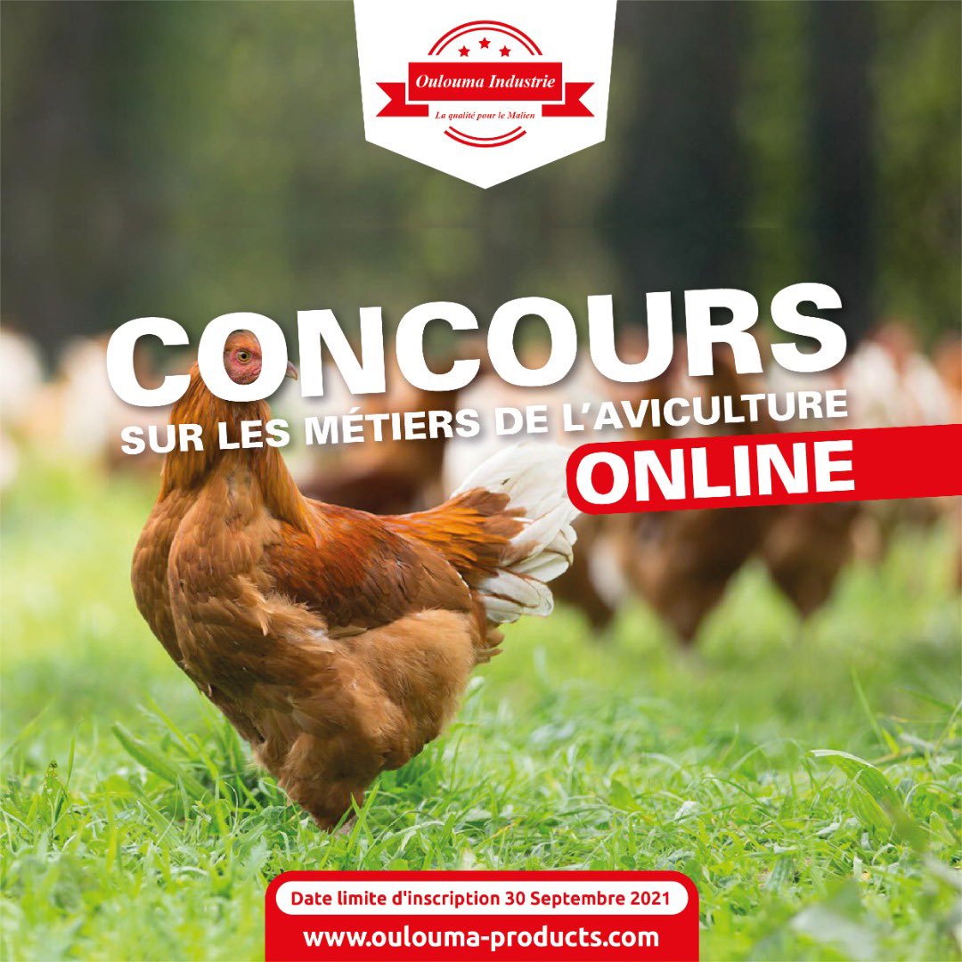 Sabou_Doum2's tweet photo. Ils ont remporté les deuxième et troisième prix de  la 1ère édition  CMAVI (Concours de la filière avicole) en septembre dernier. 
Le mardi 26 avril, nos gagnants sont venus nous rendre visite pour discuter des préparatifs de la deuxième édition.
@OuloumaIndustry 
CMAVI https://t.co/7Cda1I5anF