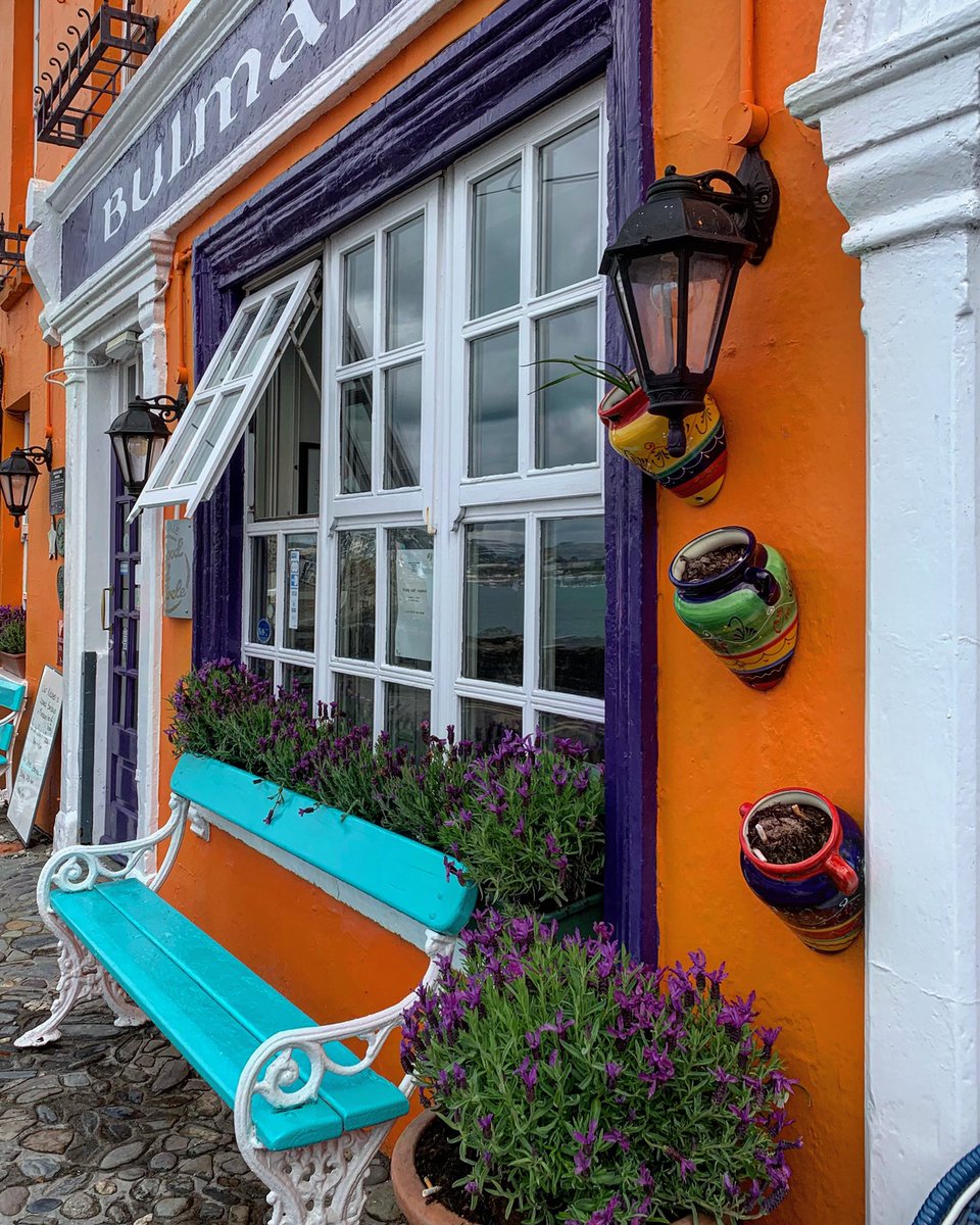 Vibes de Provence #lavender #cotekinsale #wildatlanticway #kinsale #cork
