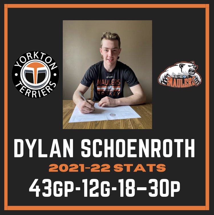 Yorkton Terriers tweet media