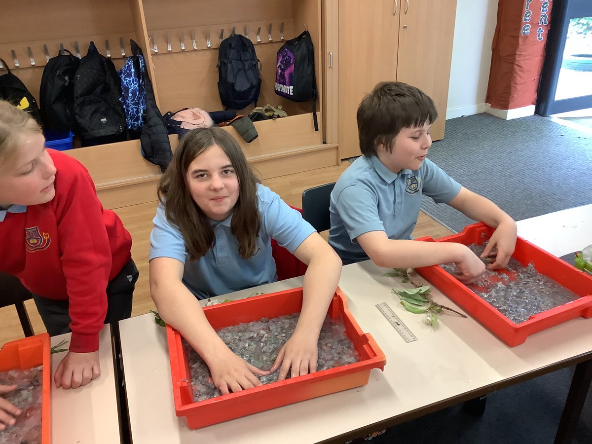 Pine Class St. David’s Haigh tweet media