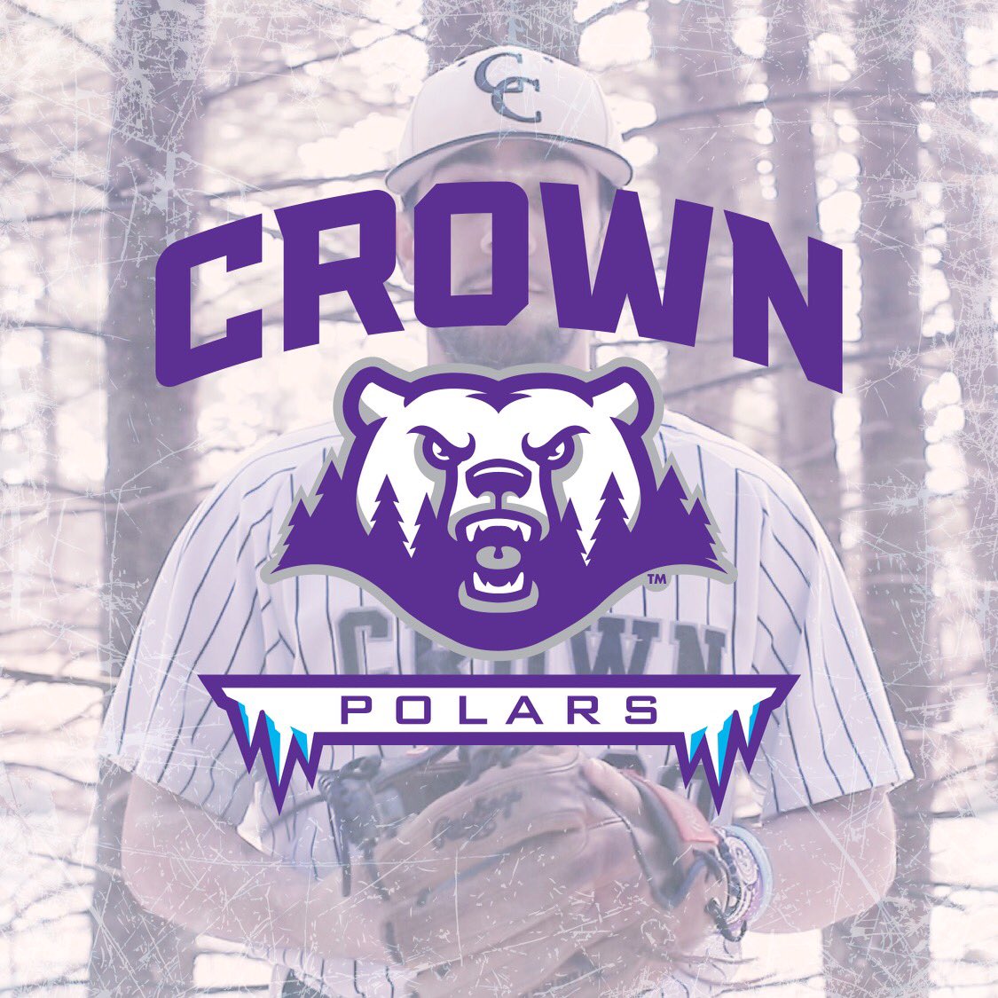 WE ARE THE POLARS.🐻‍❄️ Excited to Share our updated athletic brand &amp; nickname. The Polars. #GoPolars #PolarsBaseball

🐻‍❄️🧊🏴‍☠️.
