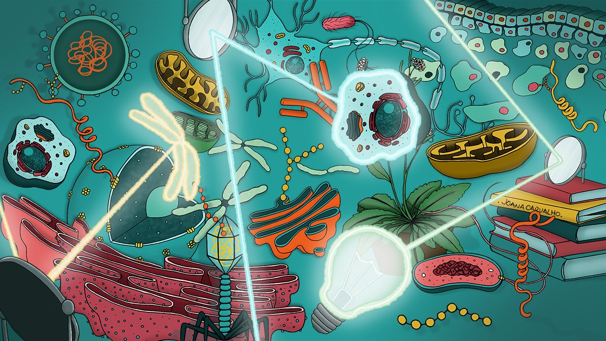 Art the Science 🚀🎨 tweet media