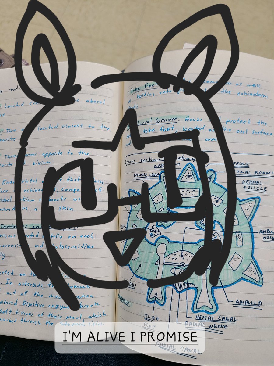 Rui Life Update:
Hey guys!!! I just want you to know I am NOT DEAD, I'm just very busy with schooling! I've recently been accepted into Stonybrook University in NY and will be moving halfway across the country to study marine vertebrate biology. I hope to return soon! Love! 🐌