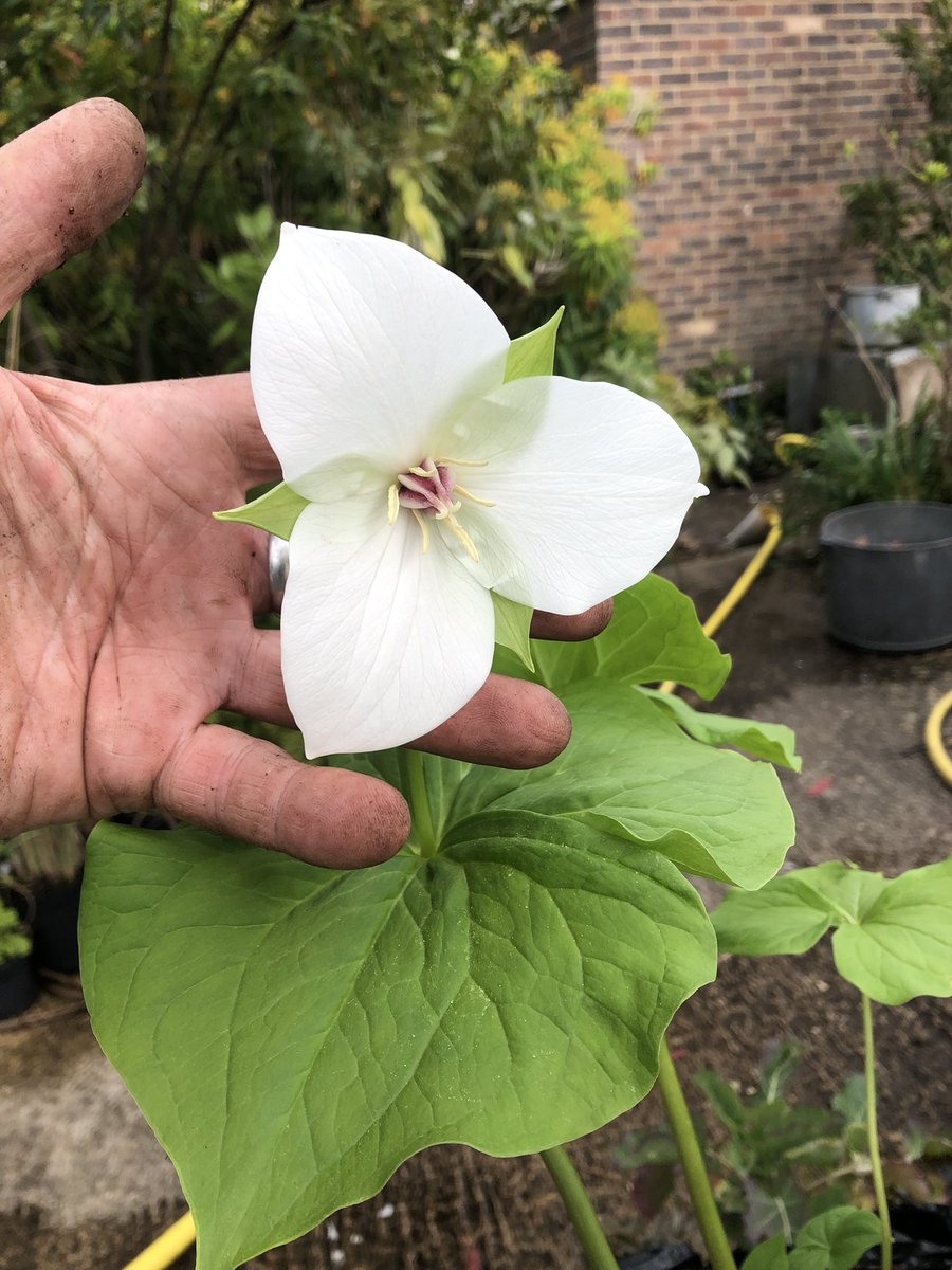 Paul Barney tweet media