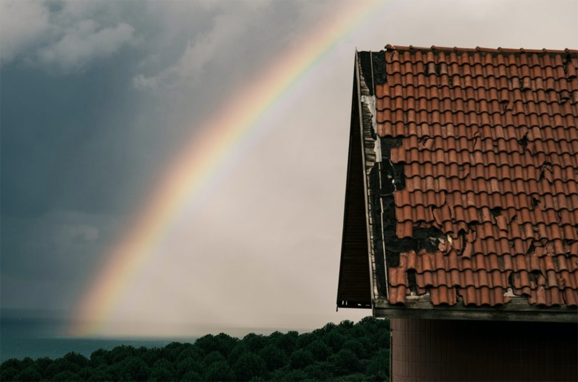 With roof cleaning services from DriMasters, you can prevent leaks in your roof! How?

Read more to find out!

blog.drimasters.net/?p=5104