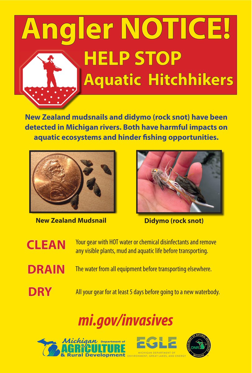 Saginaw Bay CISMA tweet media